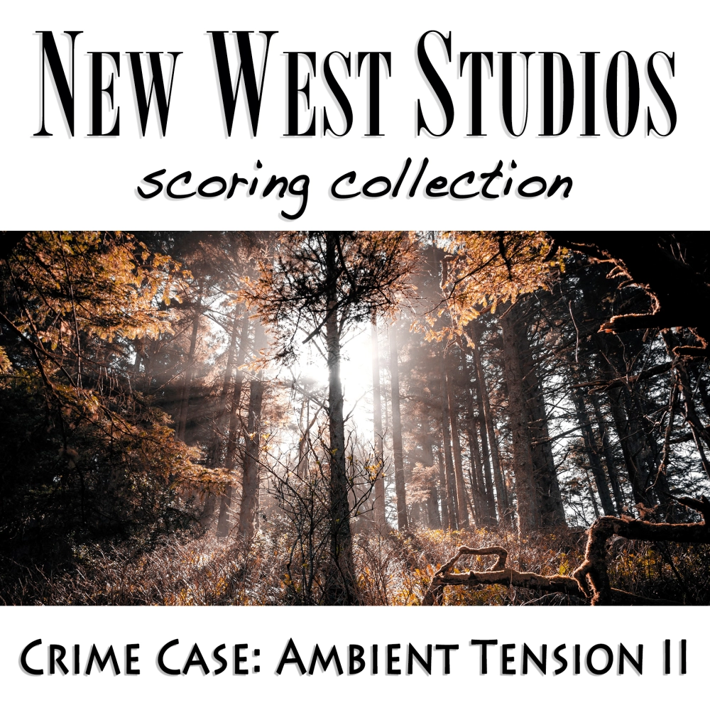 Ambient Tension Ii - Crime Case V64