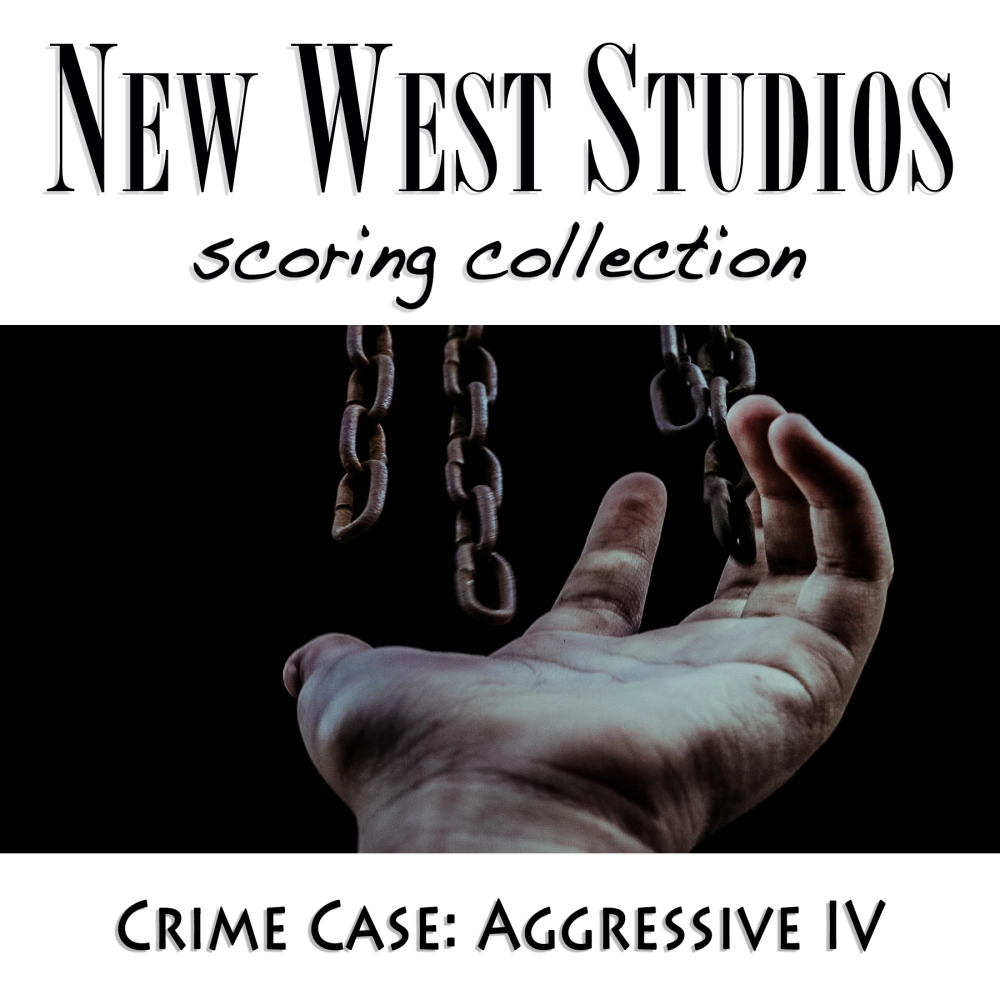 Aggressive Iv - Crime Case V24