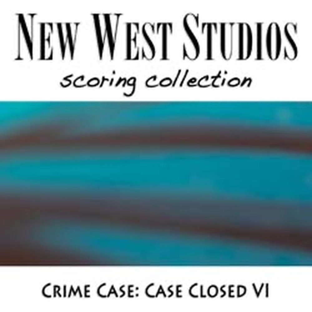 Case Closed Vi - Crime Case V77