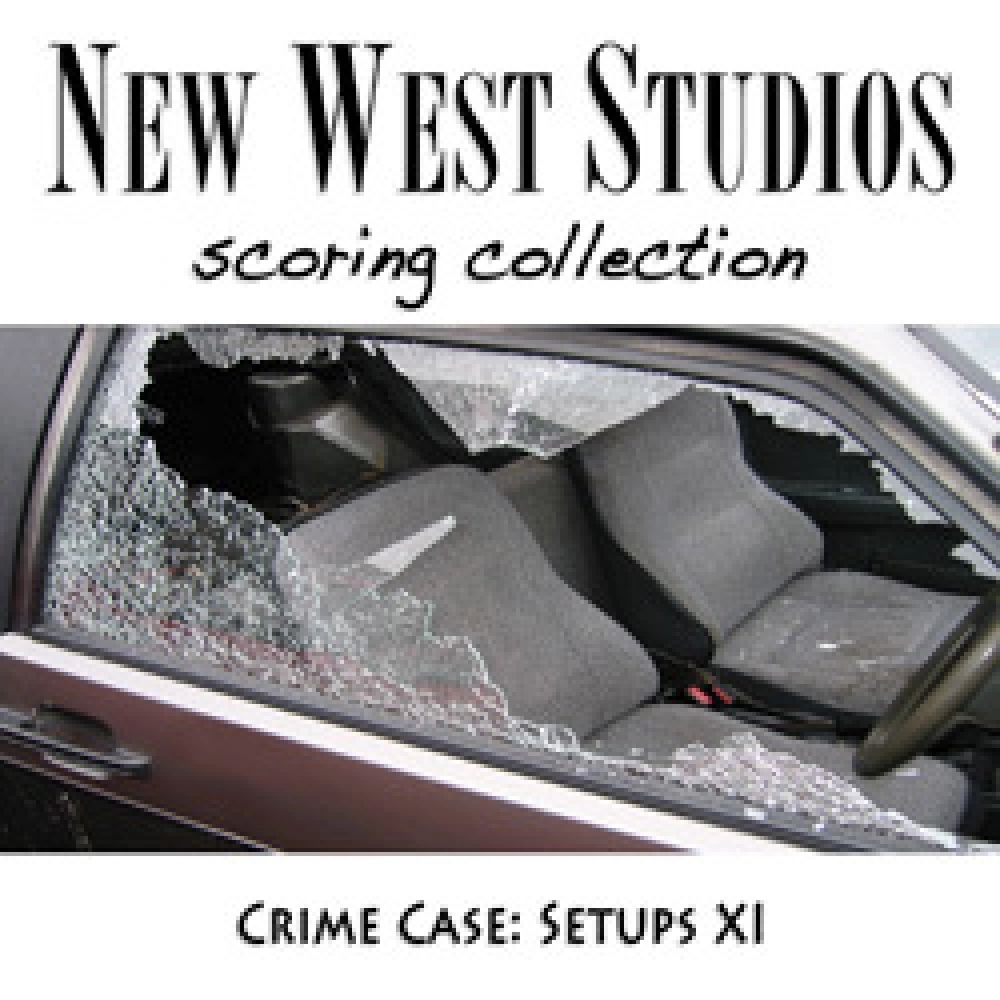 Setups XI - Crime Case V113