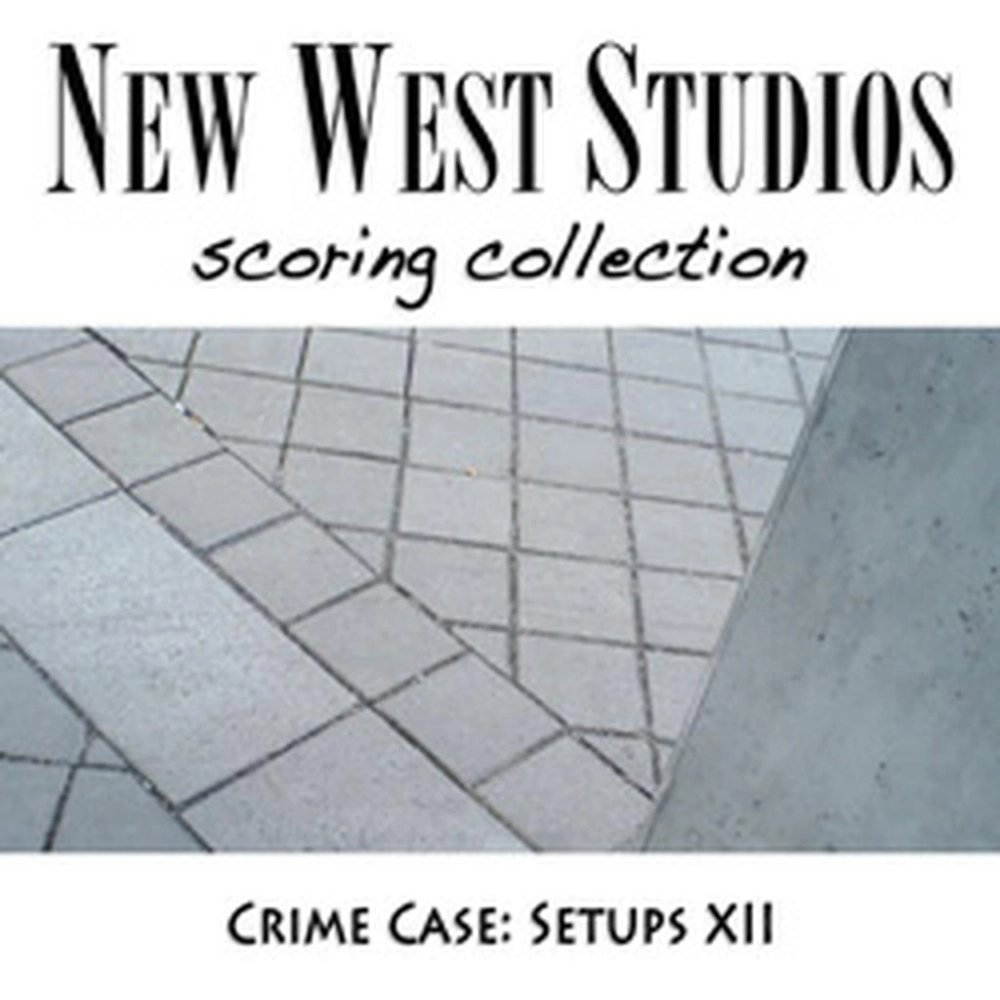 Setups XII - Crime Case V119