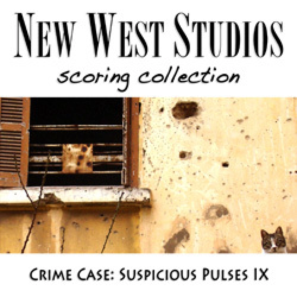 Suspicious Pulses IX - Crime Case  V114
