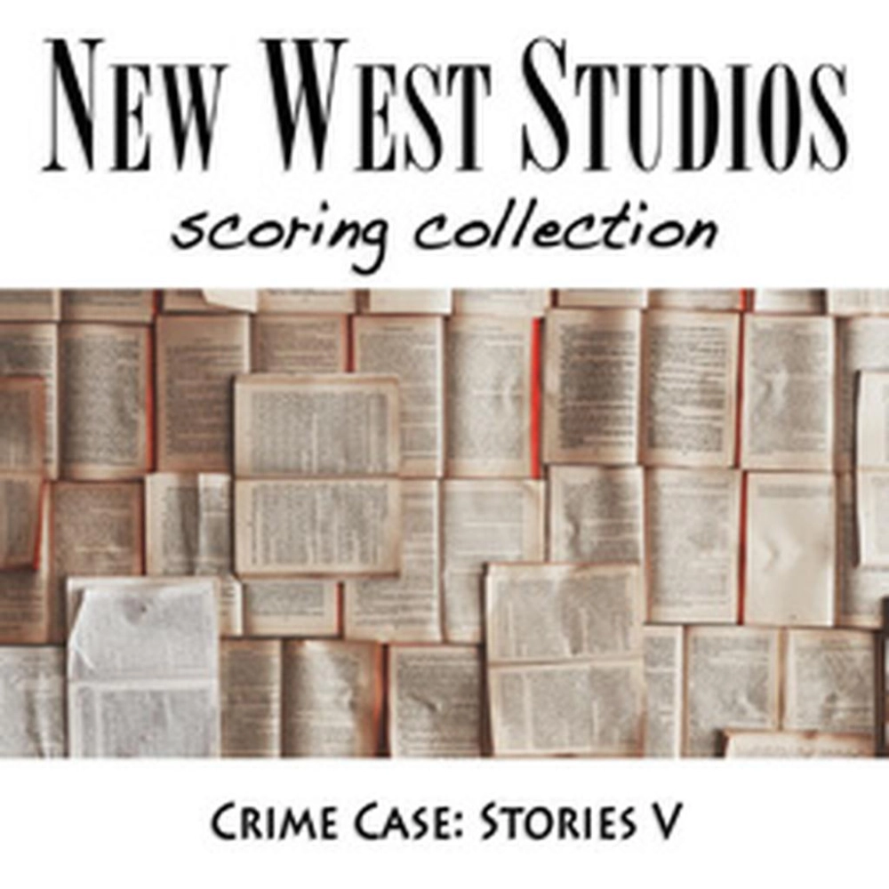 Stories V - Crime Case V127