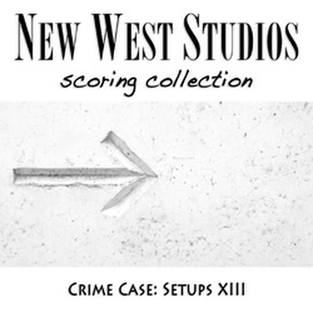 Setups XIII - Crime Case V128