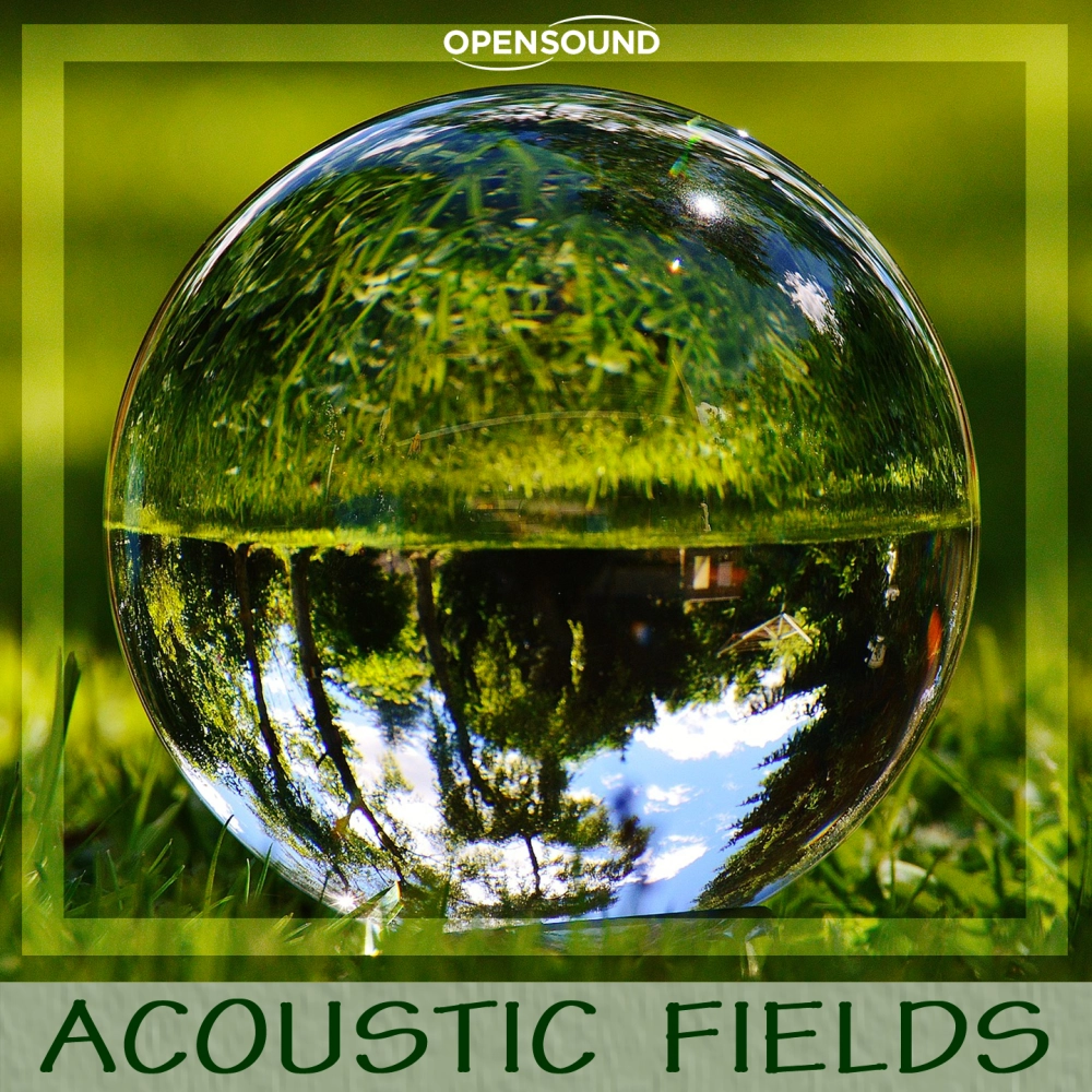 Acoustic Fields