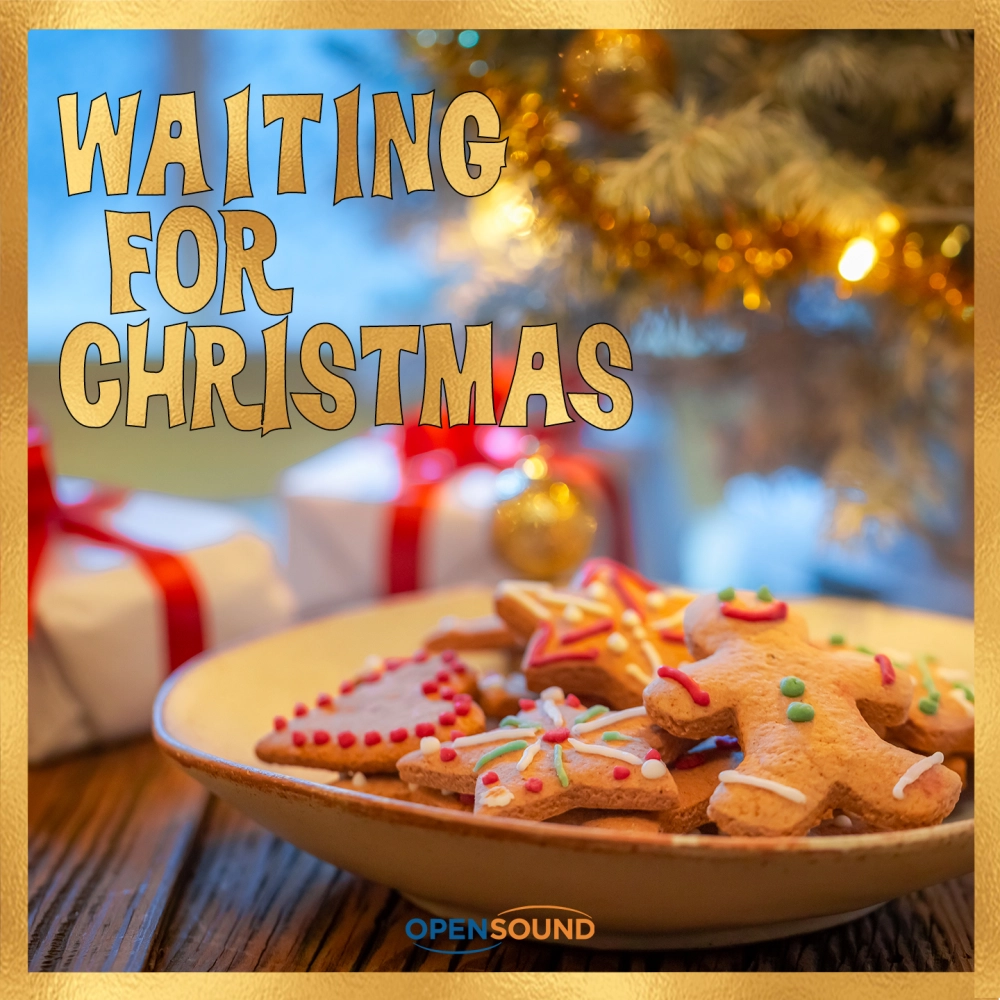 Waiting For Christmas