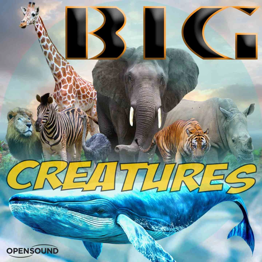 Big Creatures