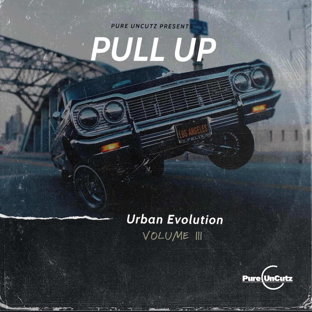 Urban Evolution Vol. III - Pull Up