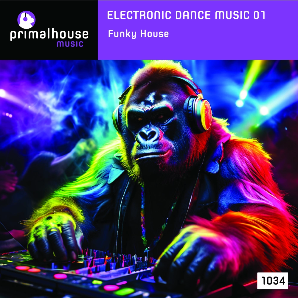 Electronic Dance Music 01 Funky House