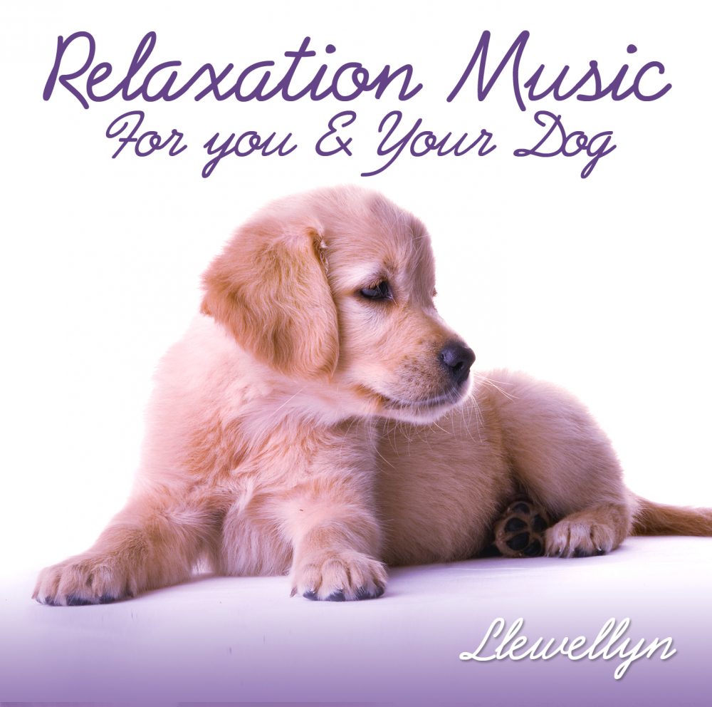 relaxation-music-for-you-and-your-dog-paradise-music-musique-music