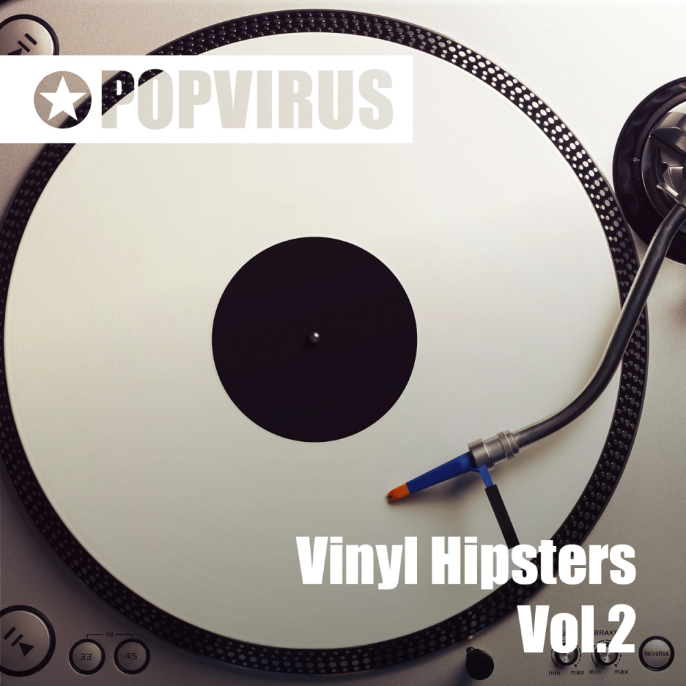 Vinyl Hipsters Vol.2