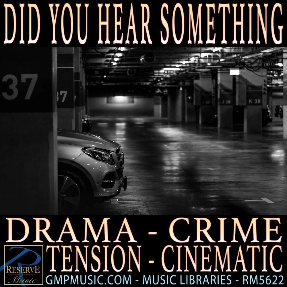 Did You Hear Something