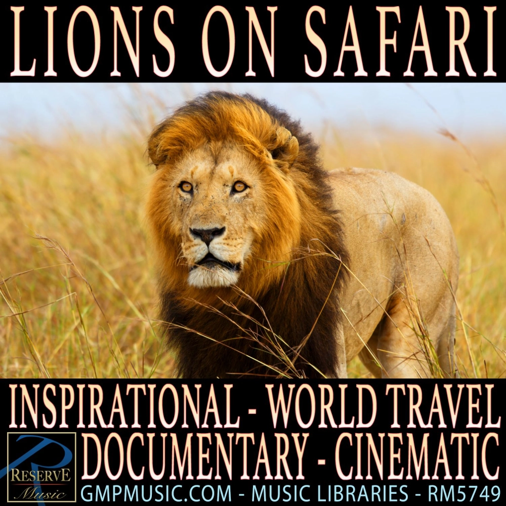Lions On Safari