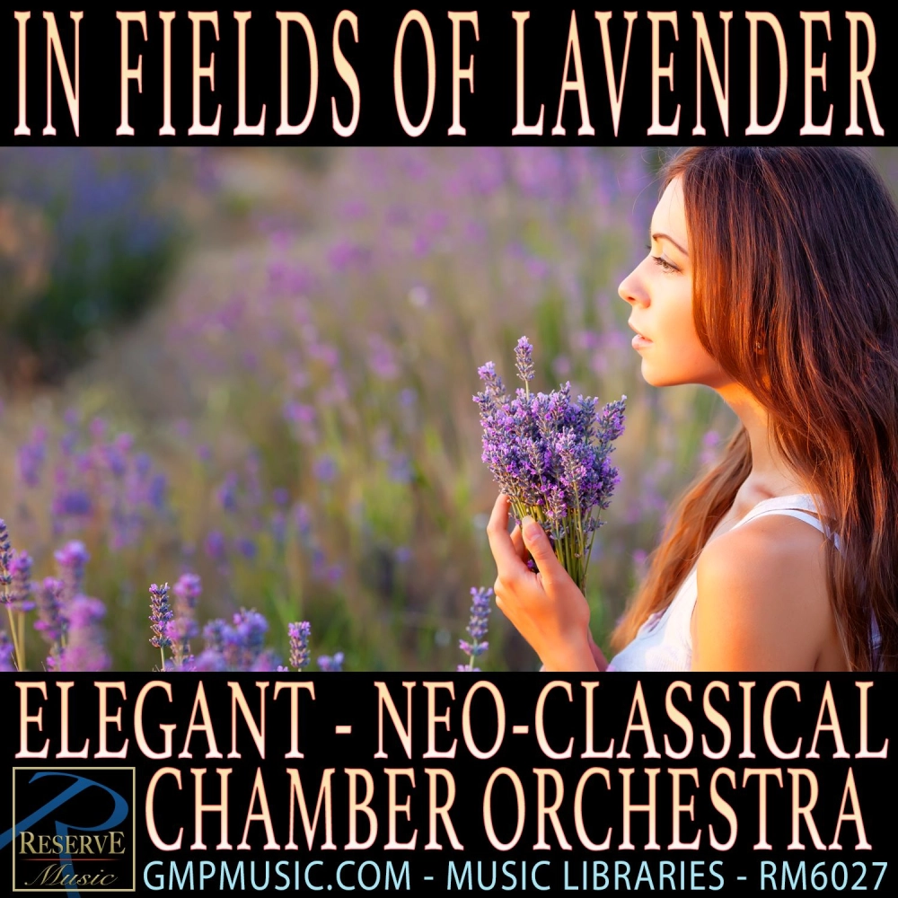In Fields Of Lavender