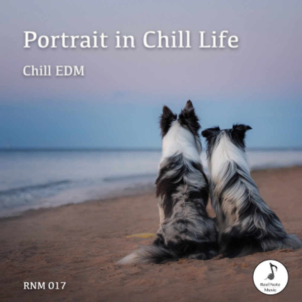 Portrait In Chill Life - Chill Edm