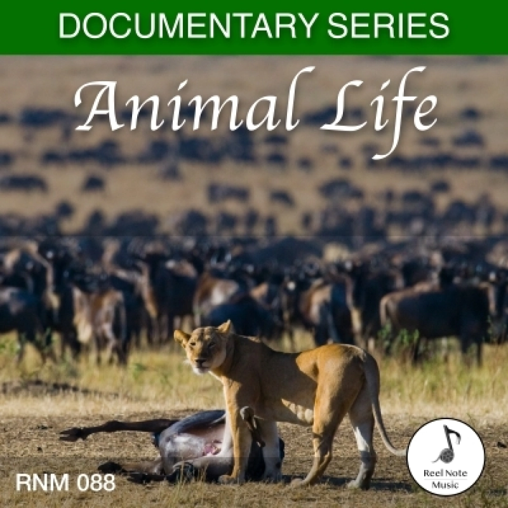 Animal Documentary Vol 2 - Animal Life