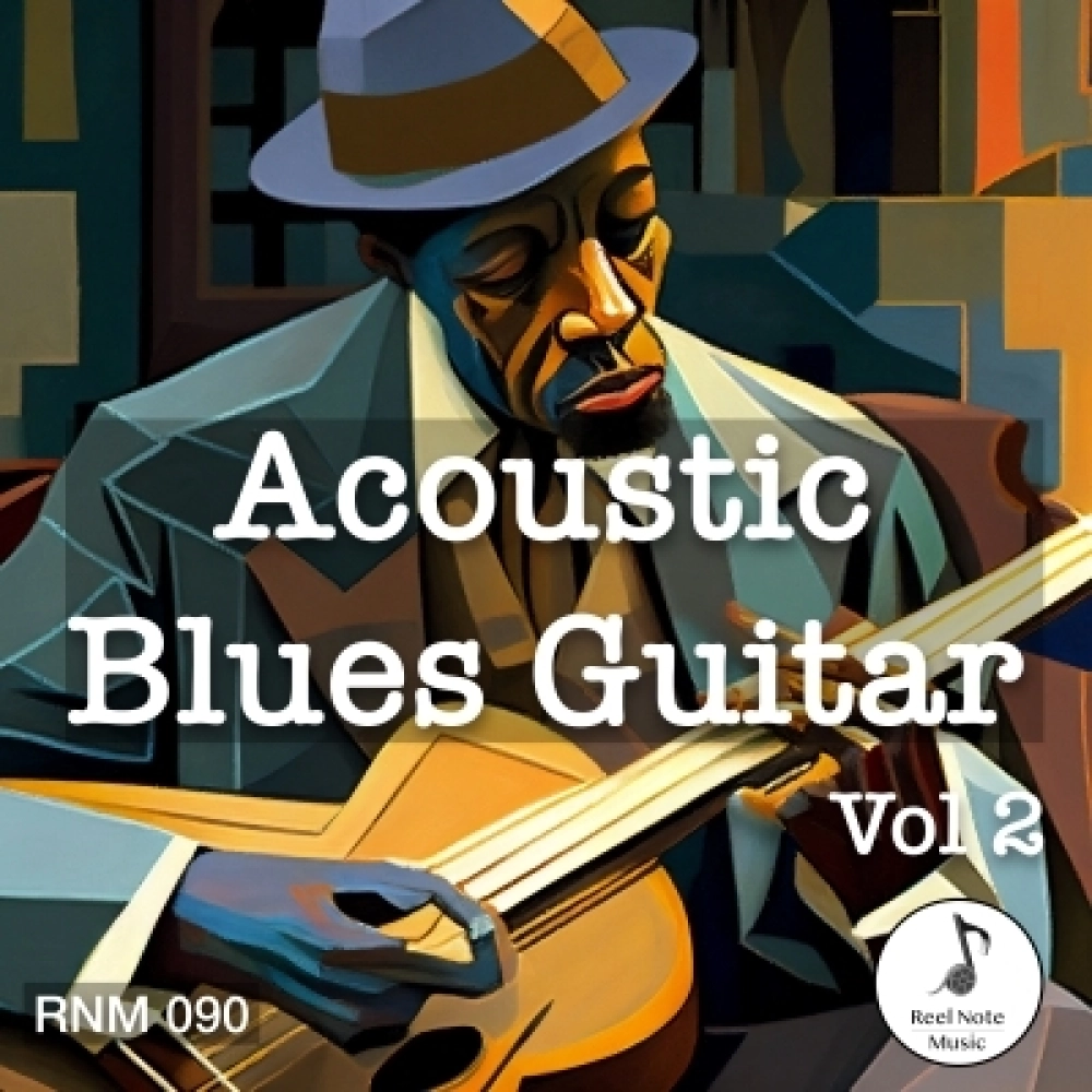 Acoustic Blues Guitar (vol 2)