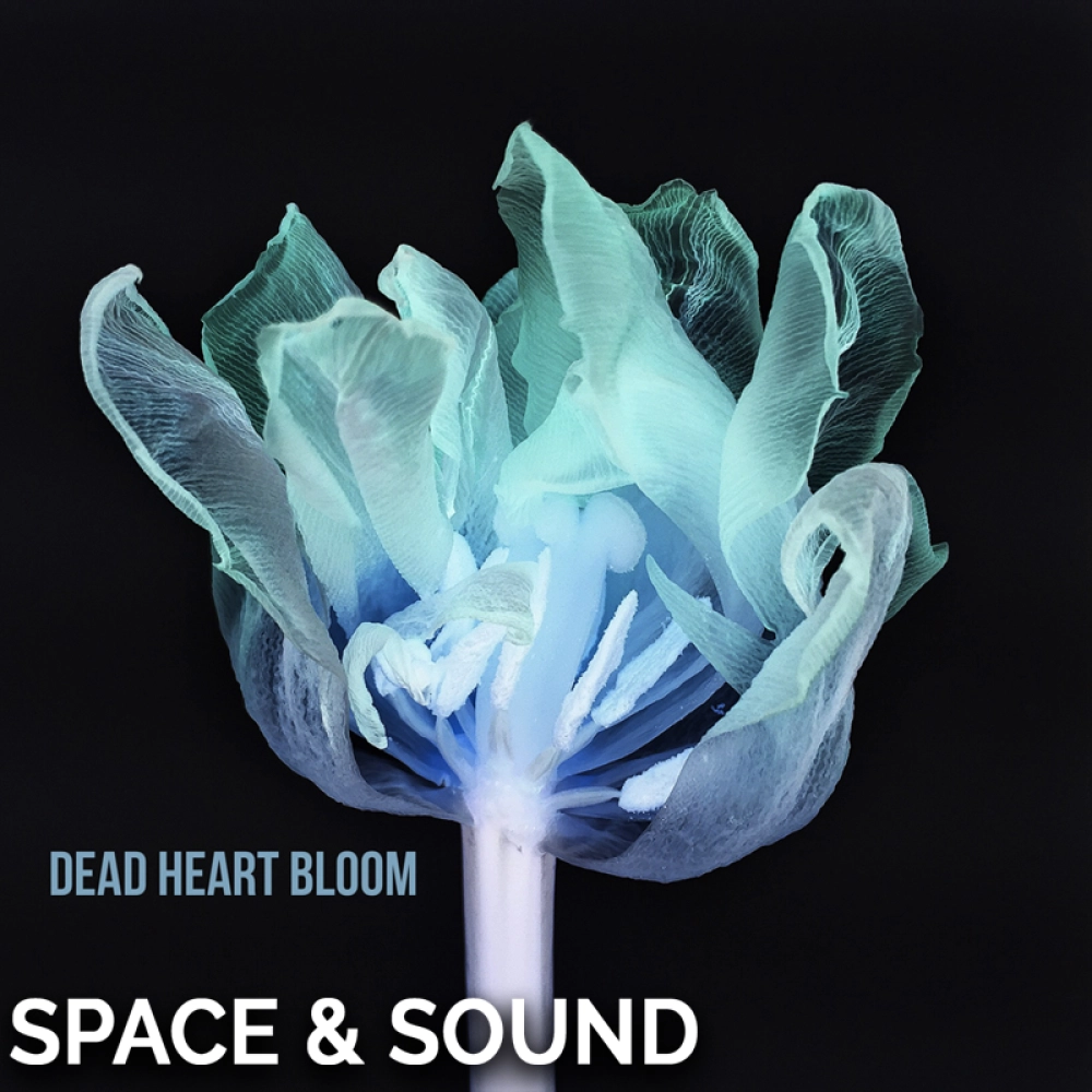 Dead Heart Bloom