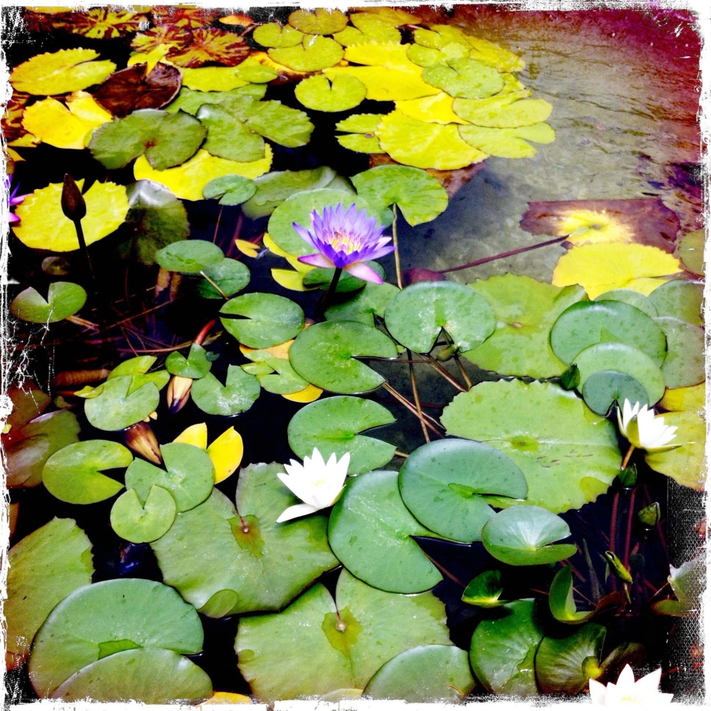 Self Realization Center - Inspirational And Uplifting