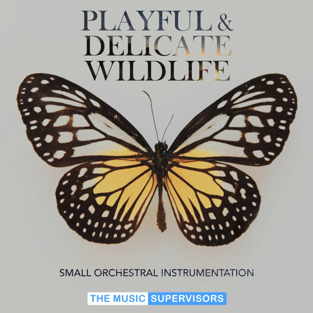 Playful And Delicate Wildlife
