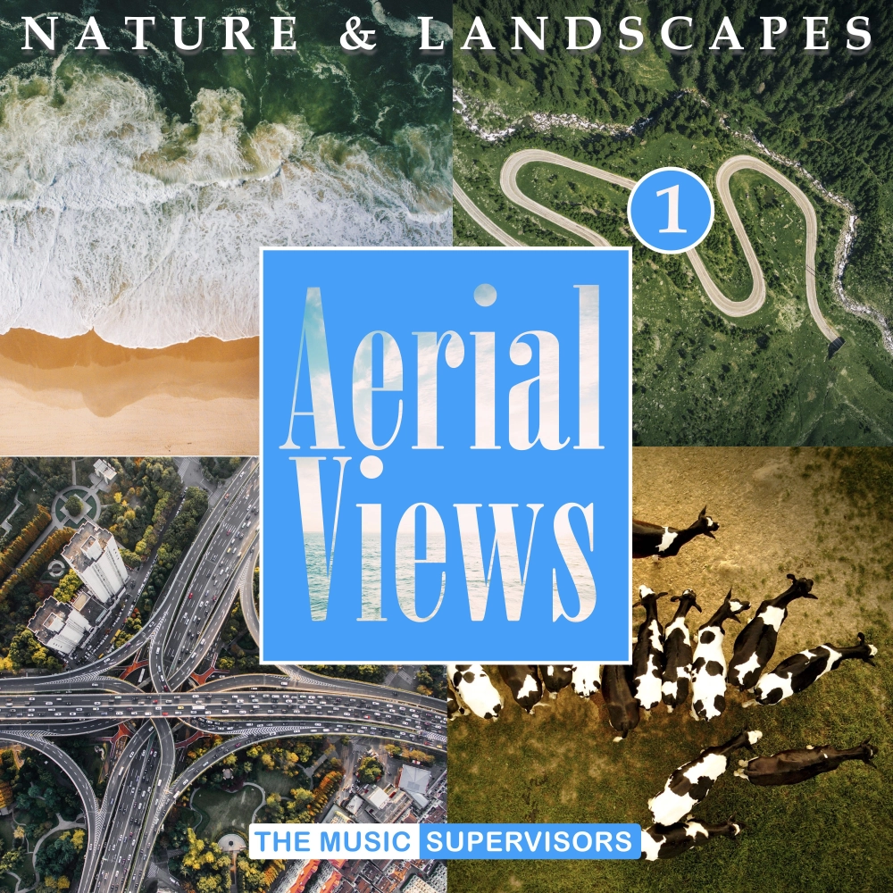 Aerial Views 1