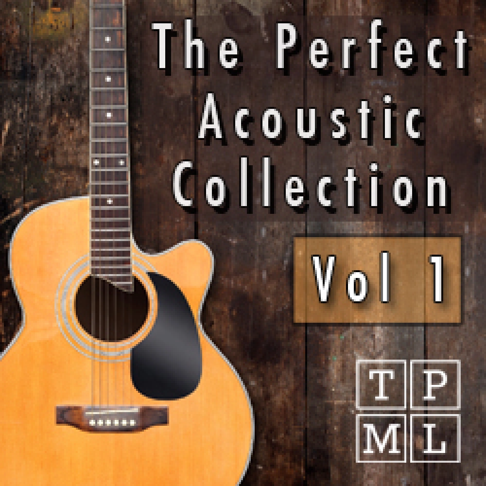 The Perfect Acoustic Collection 1