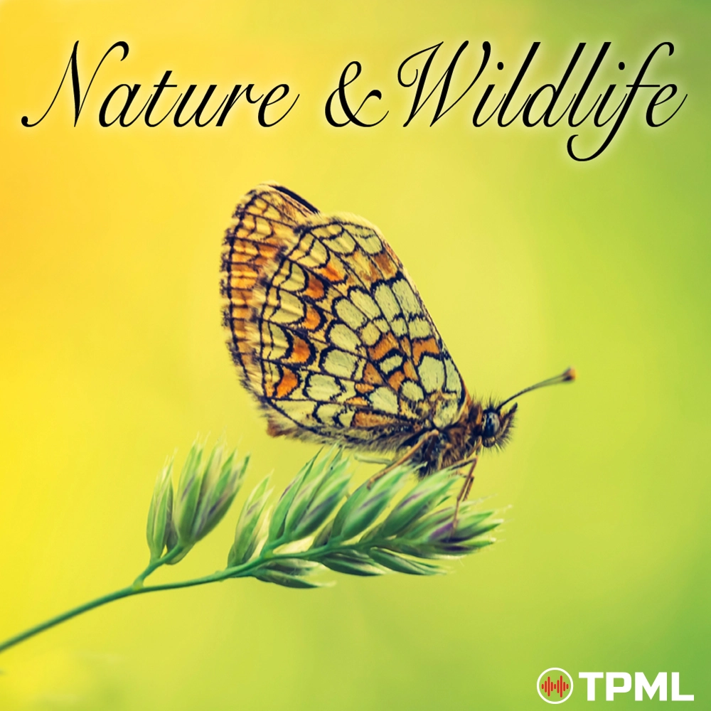 Nature & Wildlife