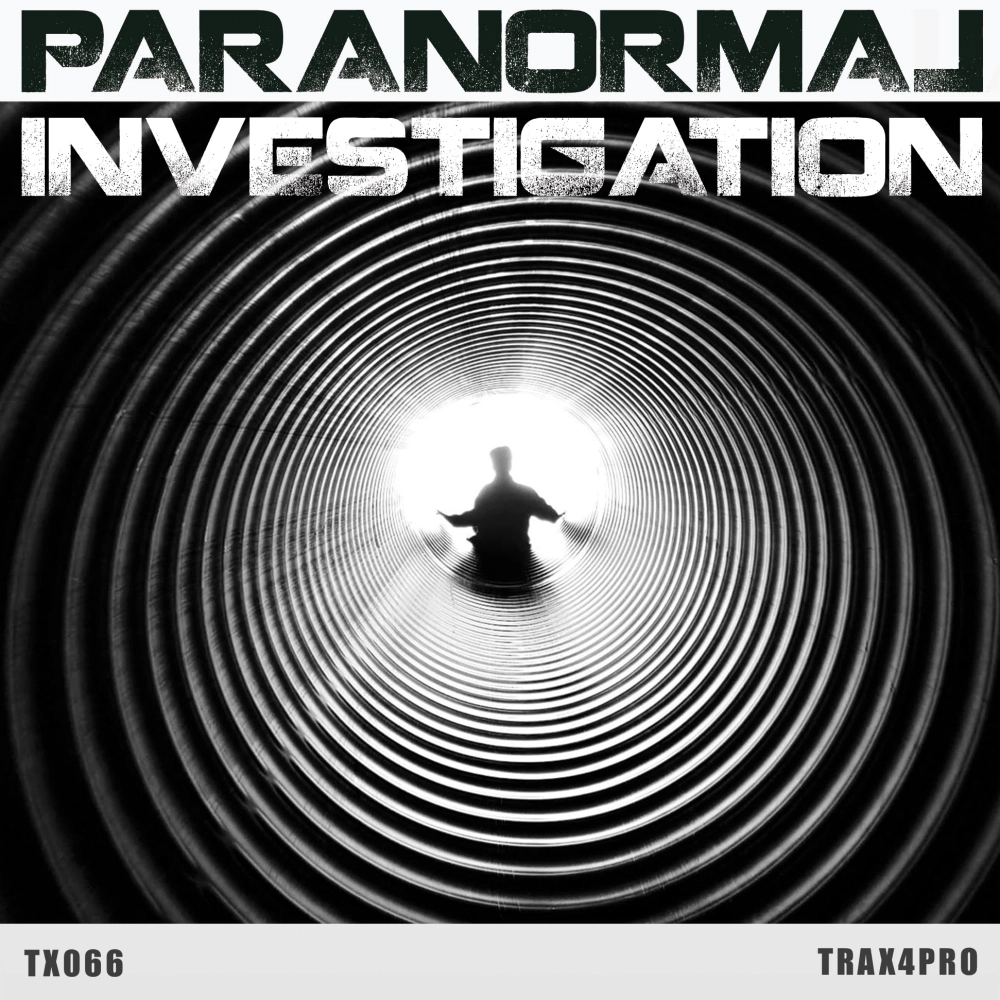 Paranormal Investigation