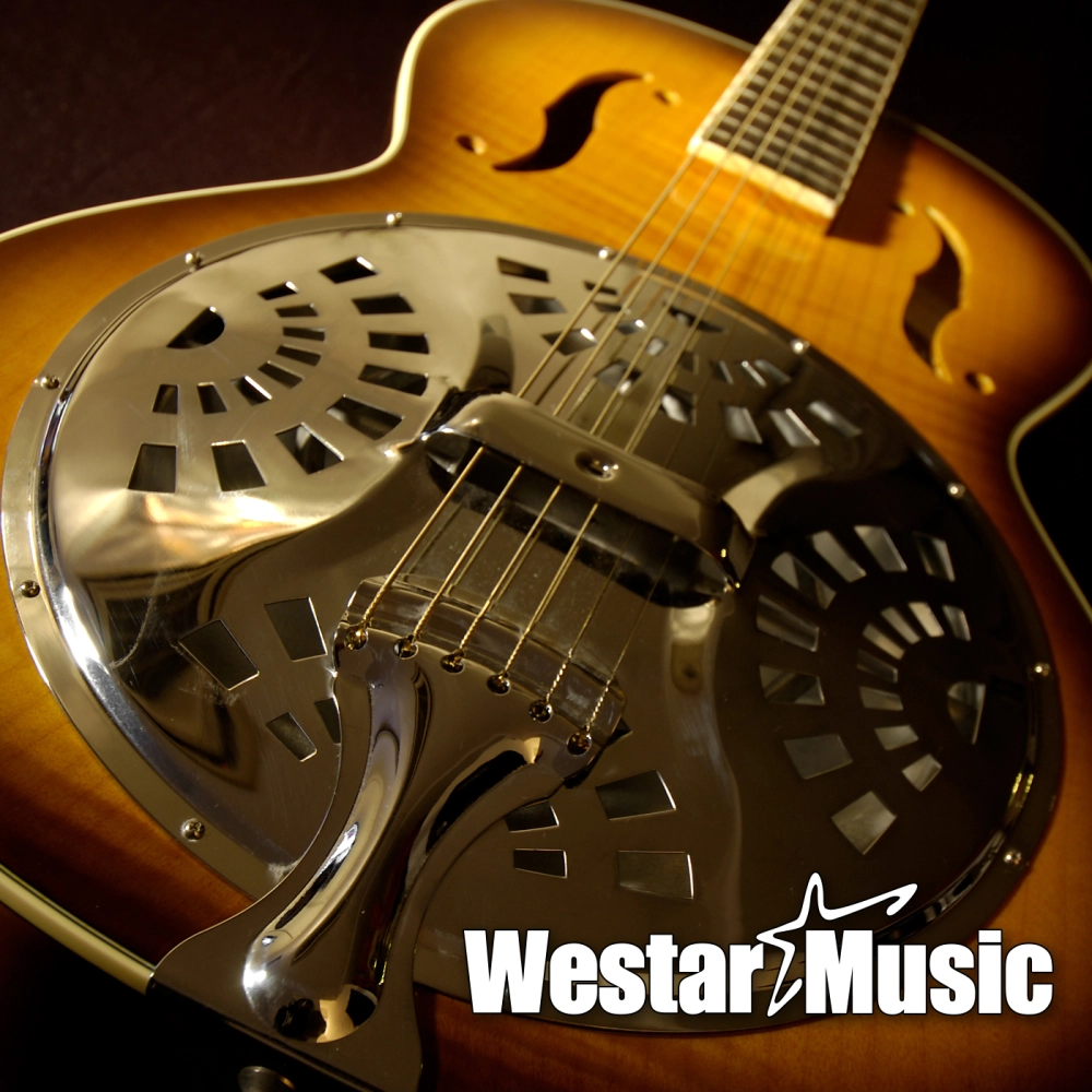 Solo Instrument - Dobro Guitar
