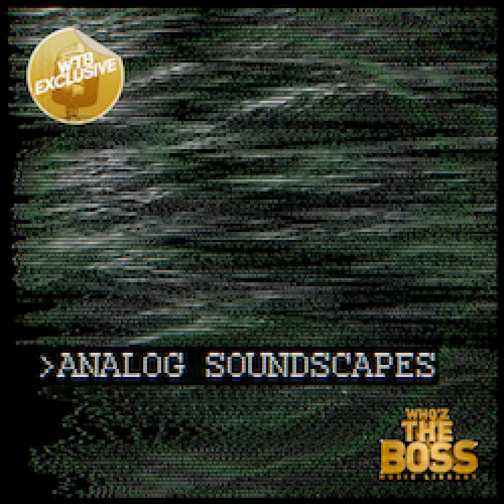 Ambient: Analog Soundscapes Vol. 1