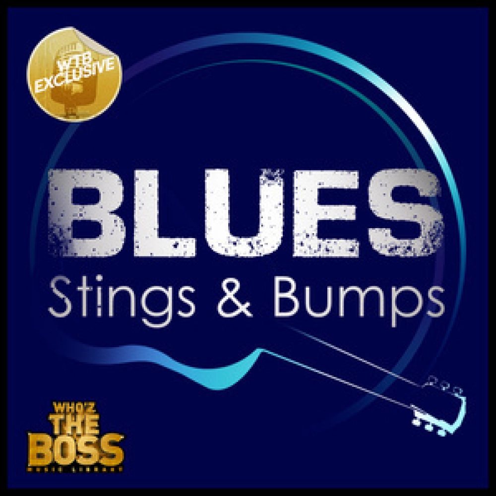 Blues: Stings And Bumps Vol. 1