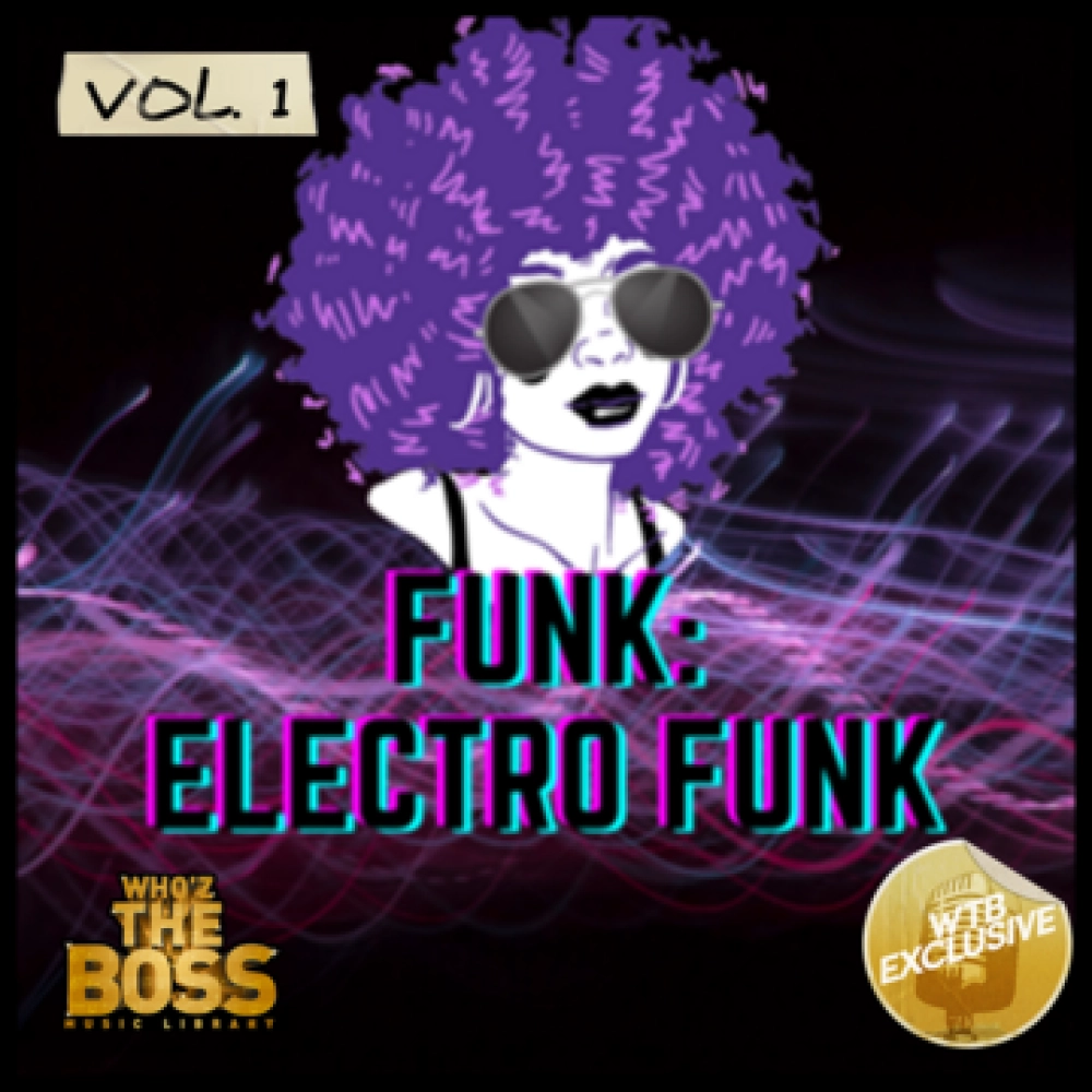 Funk: Electro Funk Vol. 1