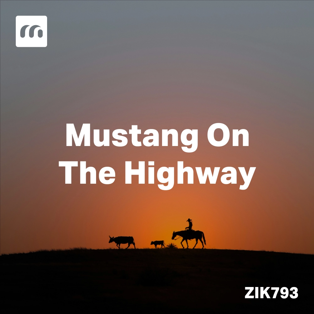 Mustang On The Highway