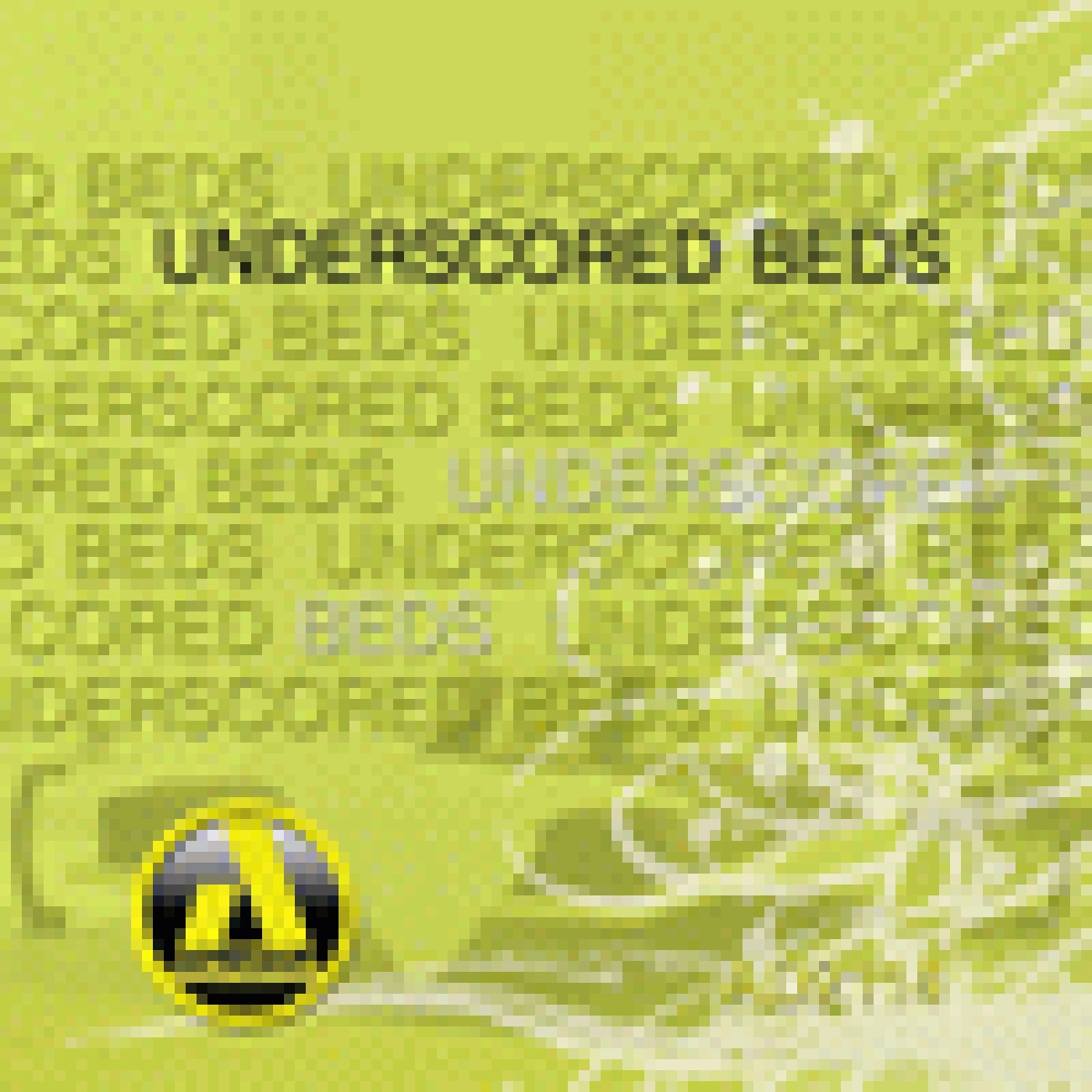 UNDERSCORED BEDS