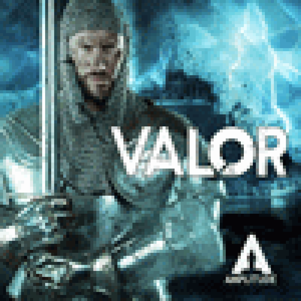 VALOR