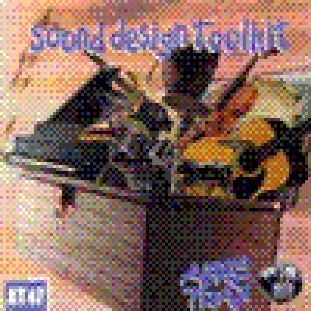 SOUND DESIGN TOOLKIT