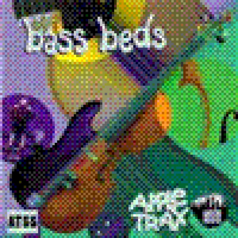 BASS BEDS