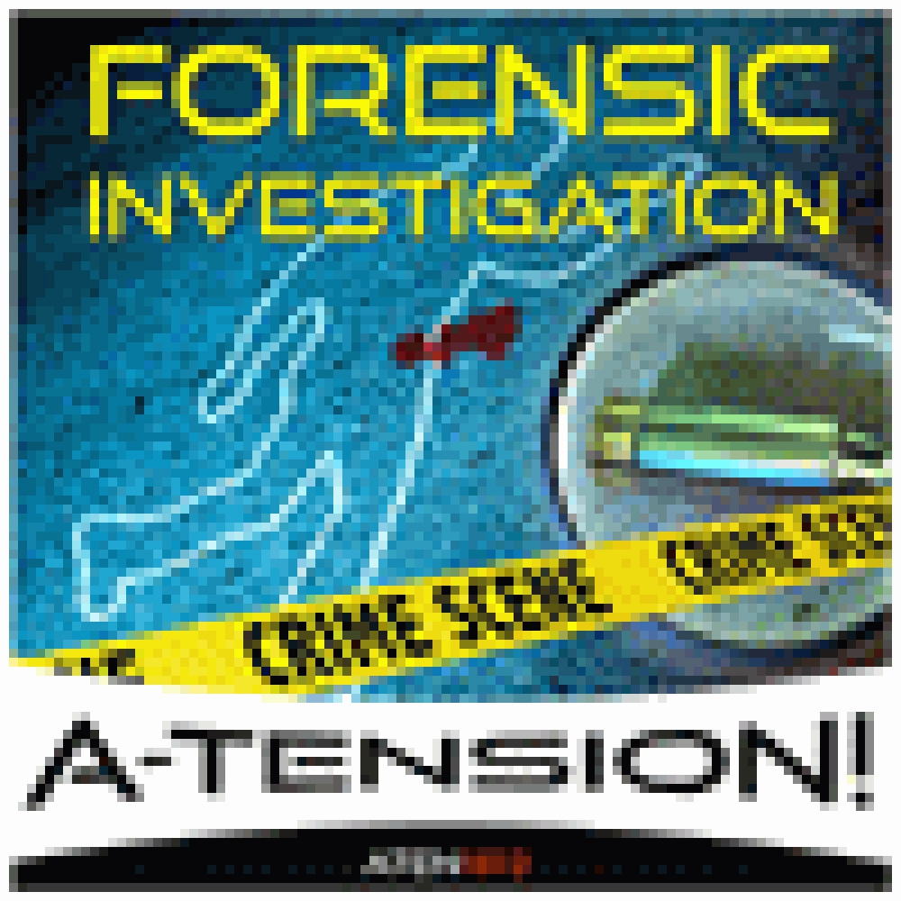 FORENSIC INVESTIGATION