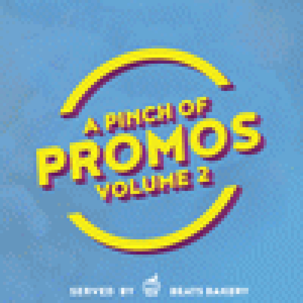 A PINCH OF PROMOS VOLUME 2