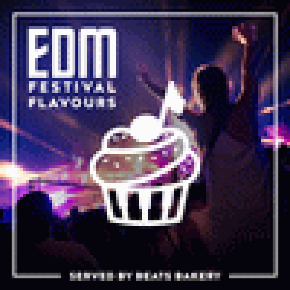 EDM FESTIVAL FLAVOURS