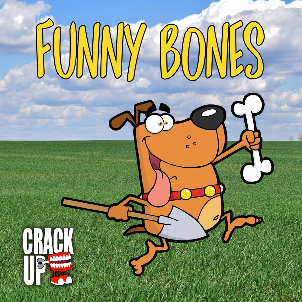 FUNNY BONES