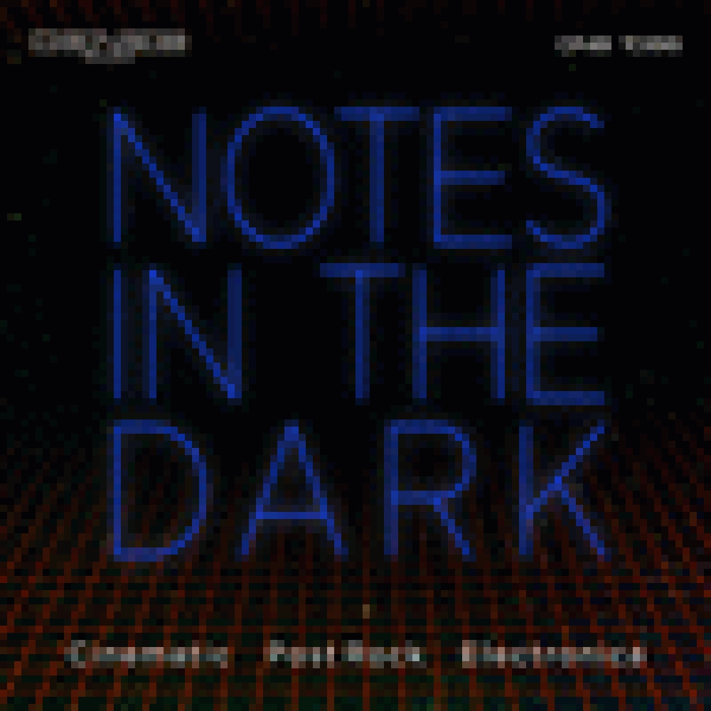 NOTES IN THE DARK