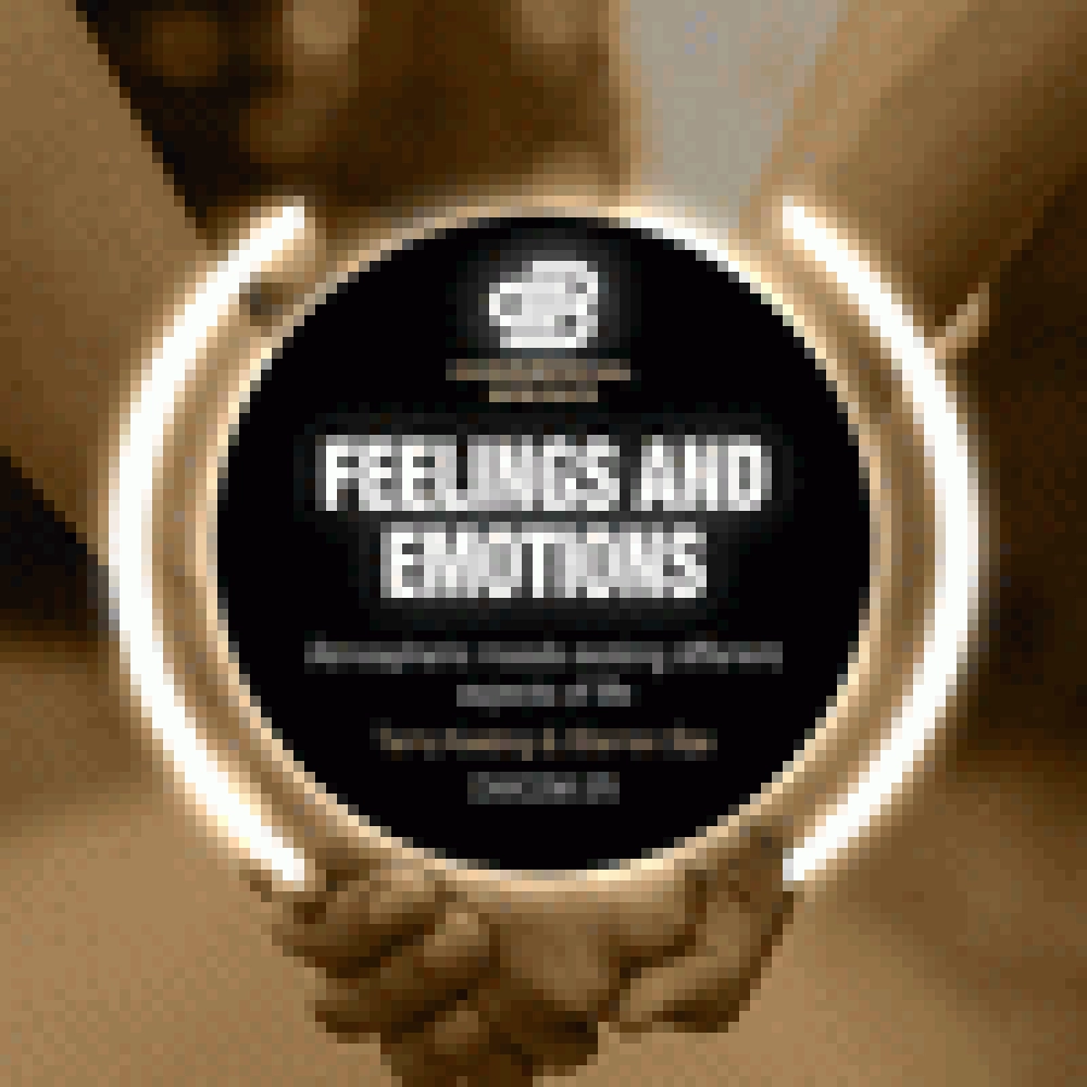 FEELINGS AND EMOTIONS