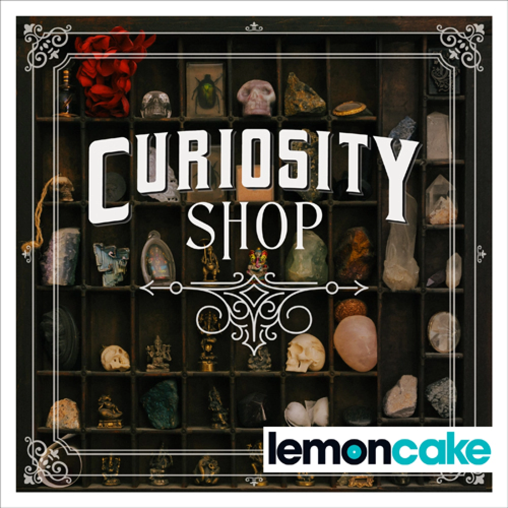 CURIOSITY SHOP