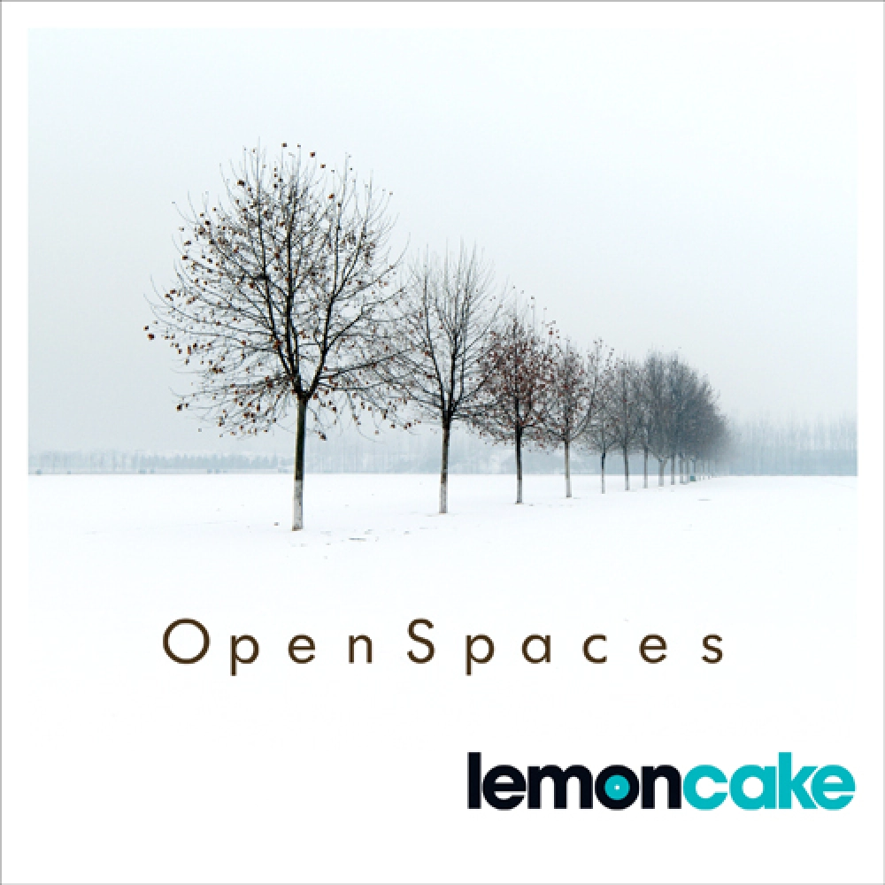 OPEN SPACES