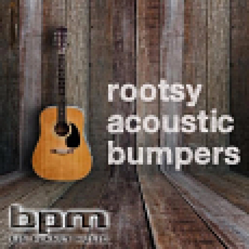 Rootsy Acoustic Bumpers