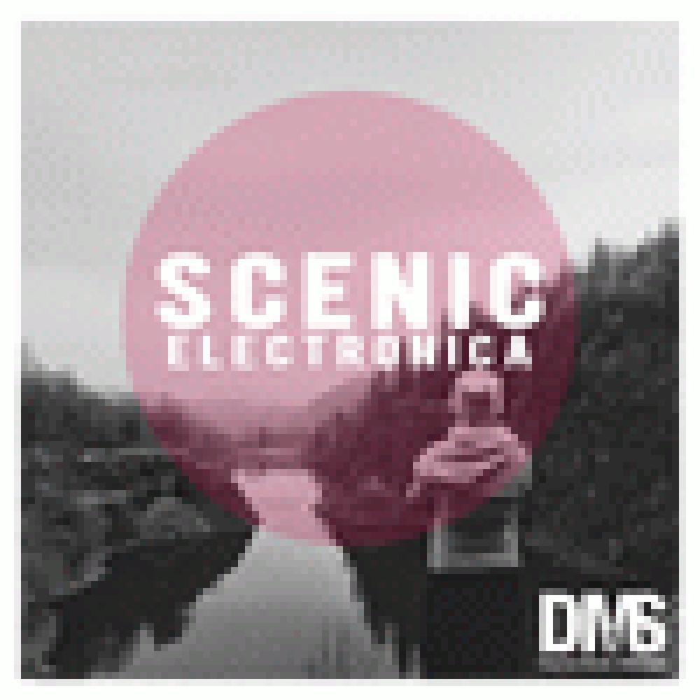 SCENIC ELECTRONICA