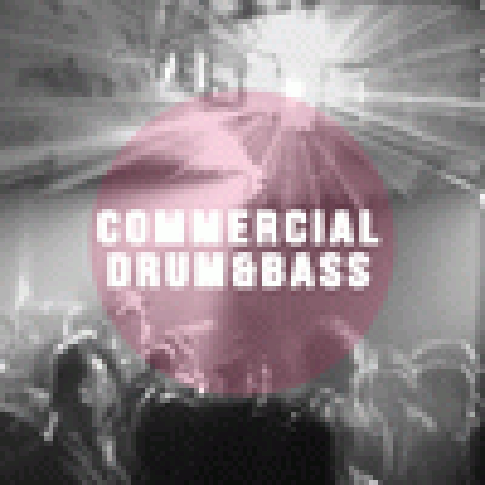 COMMERCIAL DNB