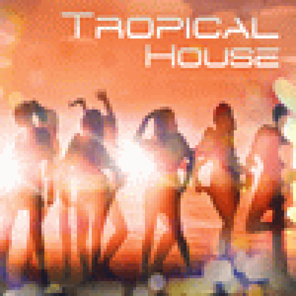 TROPICAL HOUSE