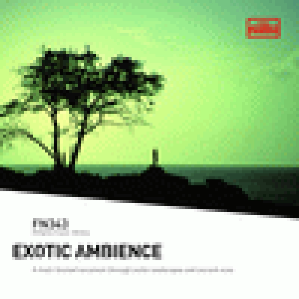 EXOTIC AMBIENCE